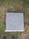 image of grave number 264399